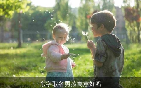 东字取名男孩寓意好吗