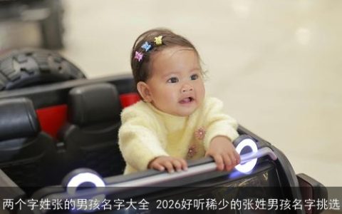 两个字姓张的男孩名字大全 2026好听稀少的张姓男孩名字挑选