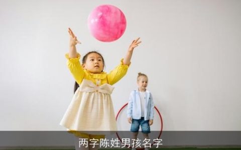 两字陈姓男孩名字