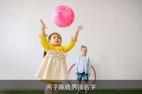 两字陈姓男孩名字