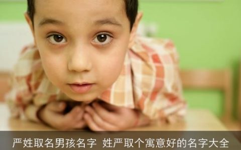 严姓取名男孩名字 姓严取个寓意好的名字大全