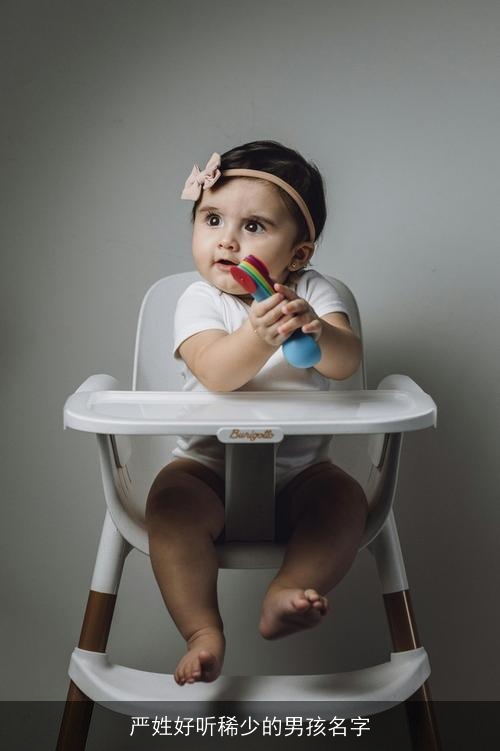 严姓好听稀少的男孩名字
