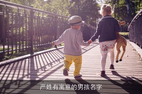 严姓有寓意的男孩名字