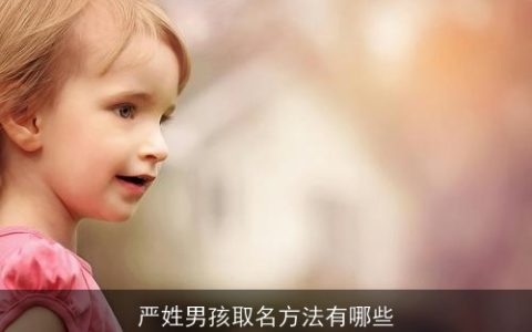 严姓男孩取名方法有哪些