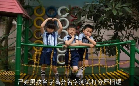 严姓男孩名字高分名字测试打分严桐煜