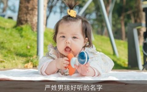 严姓男孩好听的名字