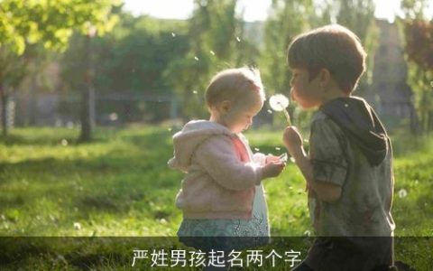 严姓男孩起名两个字