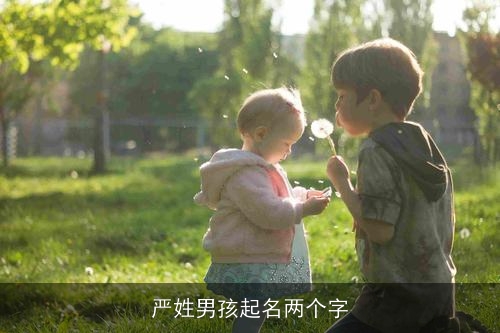 严姓男孩起名两个字