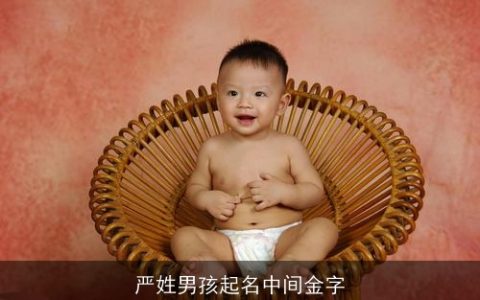 严姓男孩起名中间金字