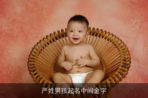 严姓男孩起名中间金字
