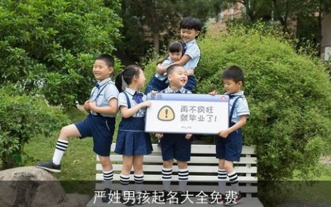 严姓男孩起名大全免费