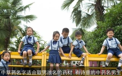 中草药名字适合取男孩名的药材 有诗意的中药名男生