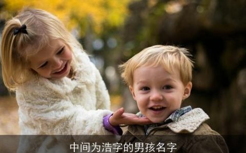 中间为浩字的男孩名字