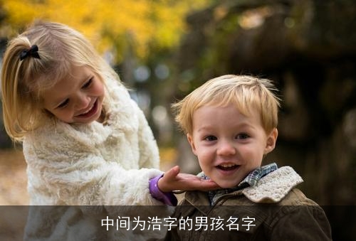 中间为浩字的男孩名字