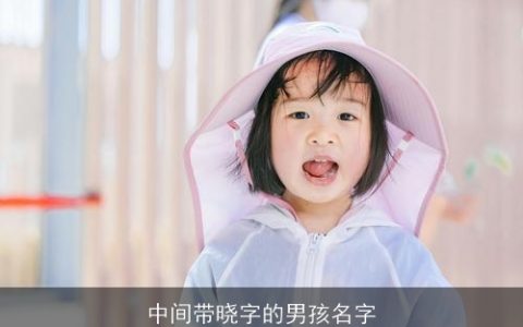 中间带晓字的男孩名字