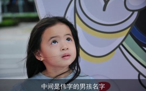 中间是伟字的男孩名字