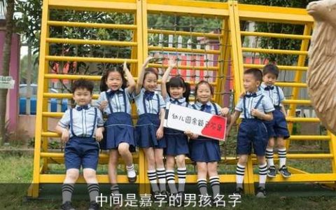 中间是嘉字的男孩名字