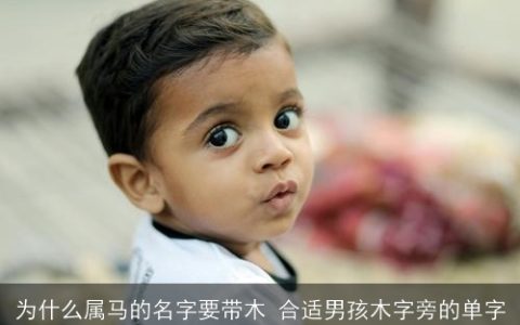 为什么属马的名字要带木 合适男孩木字旁的单字