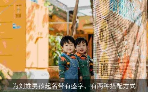 为刘姓男孩起名带有盛字，有两种搭配方式