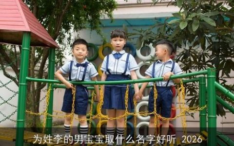 为姓李的男宝宝取什么名字好听 2026
