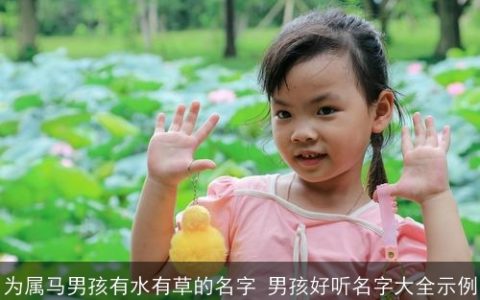 为属马男孩有水有草的名字 男孩好听名字大全示例