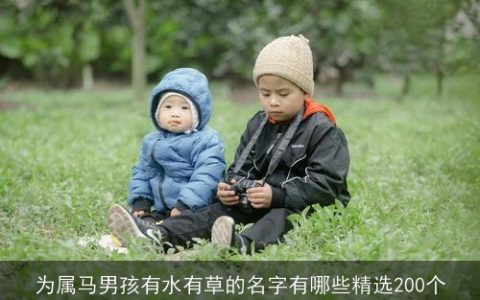 为属马男孩有水有草的名字有哪些精选200个