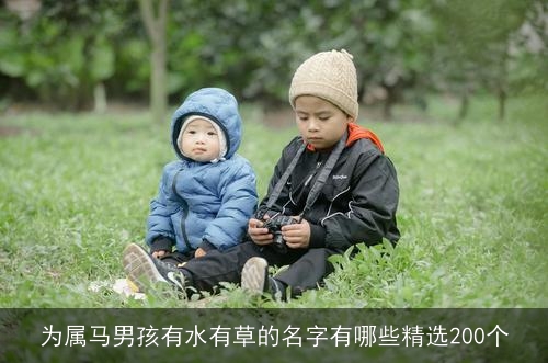 为属马男孩有水有草的名字有哪些精选200个