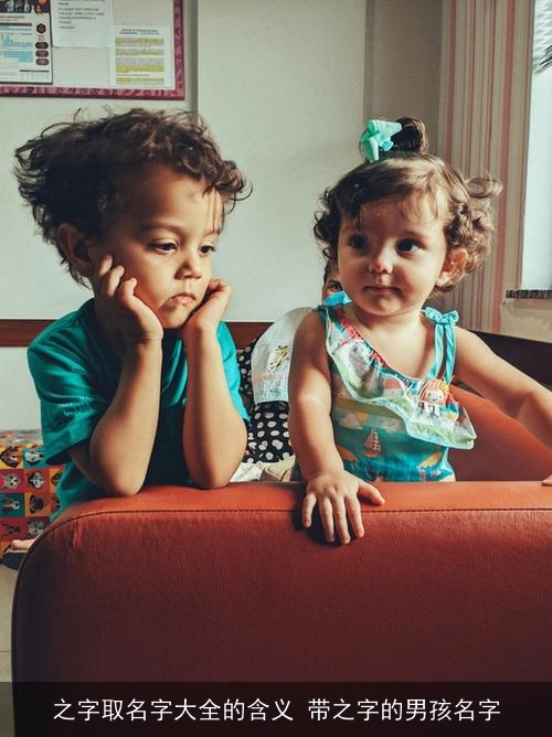之字取名字大全的含义 带之字的男孩名字