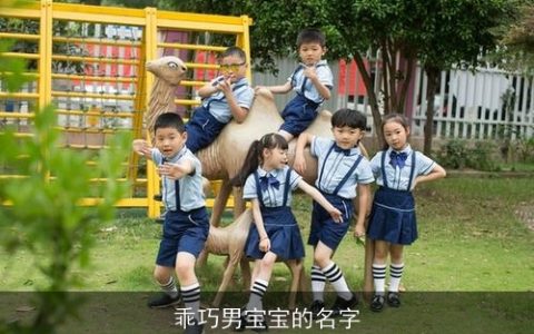 乖巧男宝宝的名字