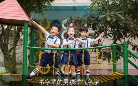 书字辈的男孩洋气名字