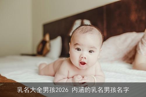 乳名大全男孩2026 内涵的乳名男孩名字