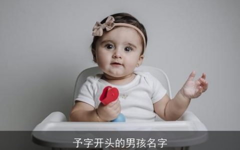 予字开头的男孩名字