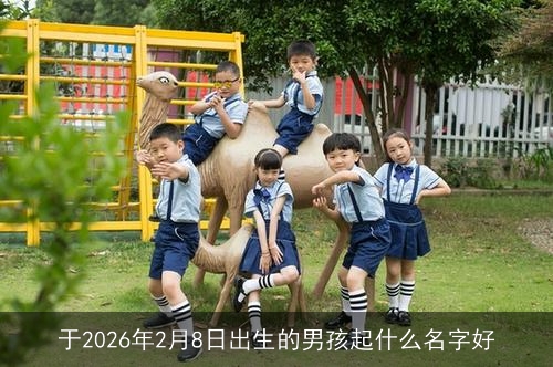 于2026年2月8日出生的男孩起什么名字好