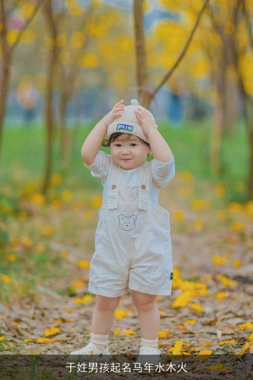于姓男孩起名马年水木火