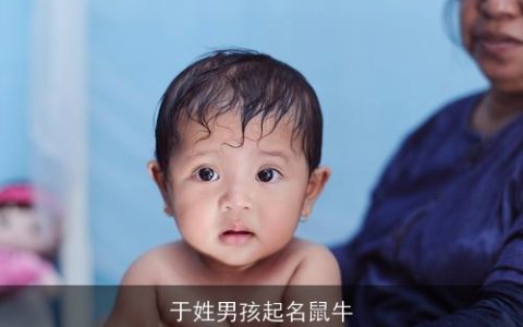 于姓男孩起名鼠牛