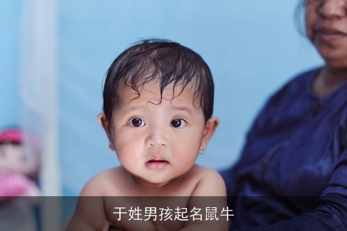 于姓男孩起名鼠牛