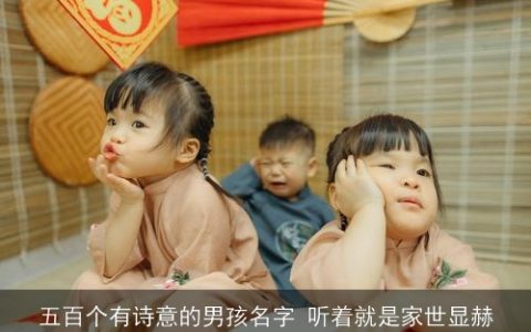 五百个有诗意的男孩名字 听着就是家世显赫
