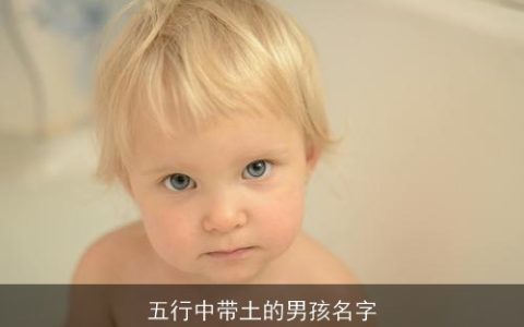 五行中带土的男孩名字