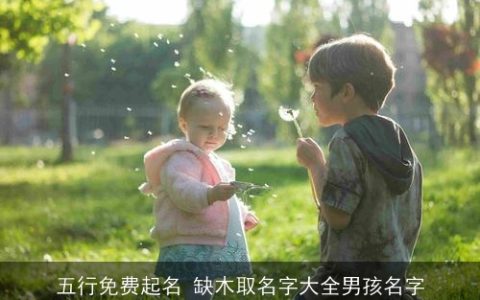 五行免费起名 缺木取名字大全男孩名字