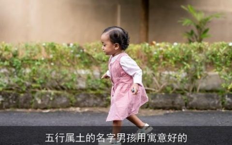 五行属土的名字男孩用寓意好的