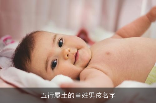五行属土的童姓男孩名字