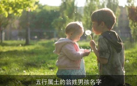 五行属土的翁姓男孩名字