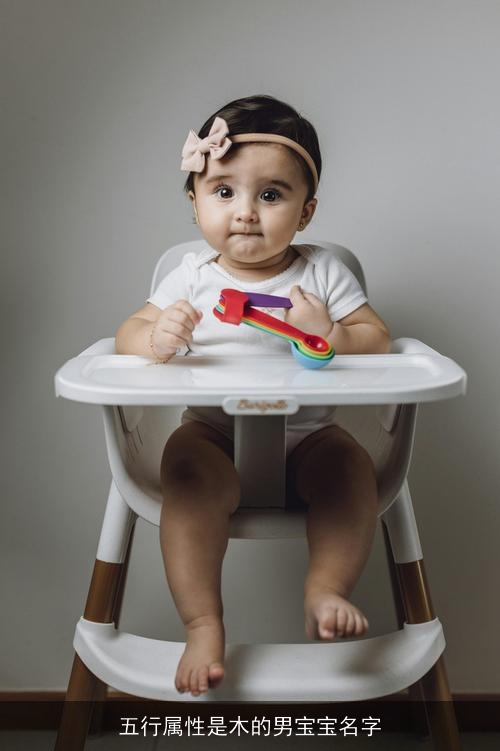 五行属性是木的男宝宝名字