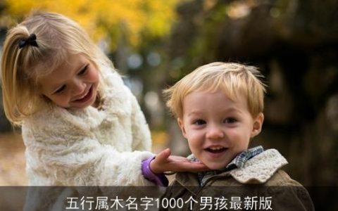 五行属木名字1000个男孩最新版