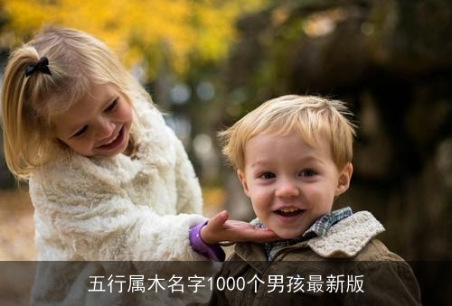 五行属木名字1000个男孩最新版