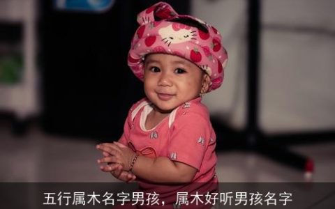 五行属木名字男孩，属木好听男孩名字