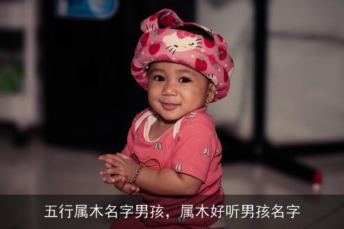 五行属木名字男孩，属木好听男孩名字