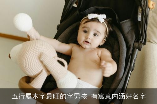 五行属木字最旺的字男孩 有寓意内涵好名字