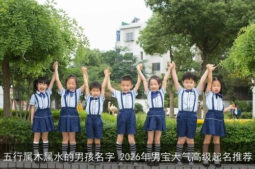 五行属木属水的男孩名字 2026年男宝大气高级起名推荐
