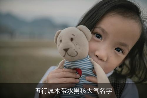 五行属木带水男孩大气名字